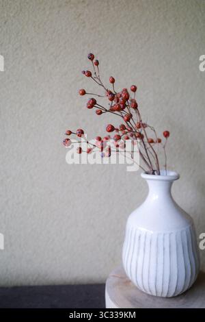 Un simple et élégant de baies rouges séchées dans un vase en céramique blanche. Banque D'Images