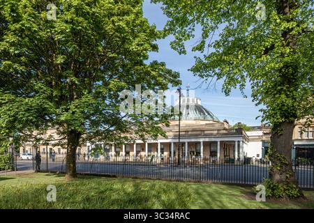 The Ivy Montpellier Brasserie Restaurant à Montpellier Rotunda, Cheltenham, Gloucestershire, Angleterre Royaume-Uni Banque D'Images