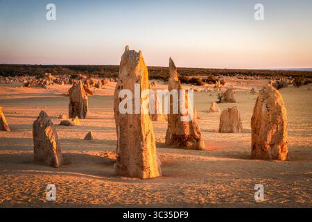 Vue des anciennes formations rocheuses altérées s'élevant des sables dorés sous une lumière douce et éthérée, créant un paysage surréaliste, Nambung, comté de Banque D'Images