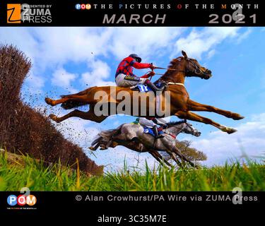 23 mars 2021, Taunton, Royaume-Uni : une vue générale des coureurs et des coureurs en action alors qu'ils franchissent une clôture tout en participant à la course de handicap des novices d'Invest Southwest à l'hippodrome de Taunton. (Crédit image : © Alan Crowhurst/PA Wire via ZUMA Press) Banque D'Images