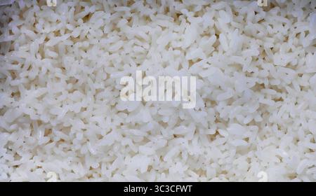 Gros plan riz blanc japonais moelleux cuit sur la louche blanche, délicieux riz à la vapeur chaude, industrie alimentaire, industrie alimentaire, repas chaud de style asiatique Banque D'Images