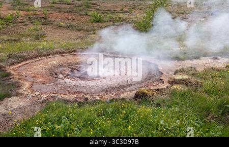 Source chaude vapeur dans la zone géothermique de Haukadalur près de Strokkur geysir en Islande le 9 juin 2025 Banque D'Images