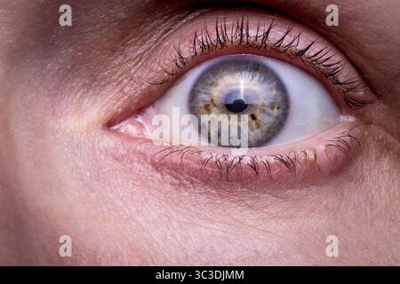 Une photographie détaillée en gros plan de l'œil d'une femme, capturant la texture de l'iris, des cils et de la peau environnante. Banque D'Images