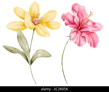 Clipart floral aquarelle de fleur jaune et un hibiscus rose avec des feuilles vertes douces isolées sur blanc. Peint à la main avec des tons doux, adapté pour c Banque D'Images