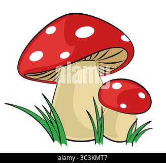 Champignons forestiers avec une herbe verte. Illustration de Vecteur
