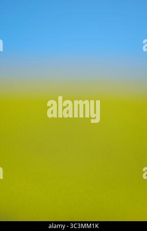 Photographie de paysage rural minimaliste représentant un ciel bleu éclatant et un champ verdoyant. L'image capture la beauté sereine de la nature avec Banque D'Images