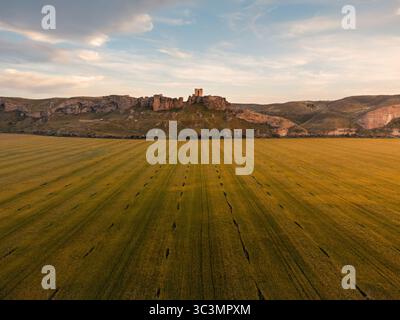 Une vue aérienne époustouflante du château d'Oreja à Ontigola, Tolède, Espagne, mettant en valeur les ruines historiques au sommet d'une colline entourée de vastes champs cultivés und Banque D'Images