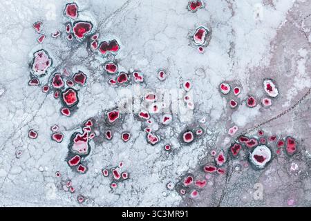 Photographie aérienne d'étangs salés rouge vif situés à la Puna, Argentine. Le contraste saisissant des formations rouges contre le creat léger du sol Banque D'Images