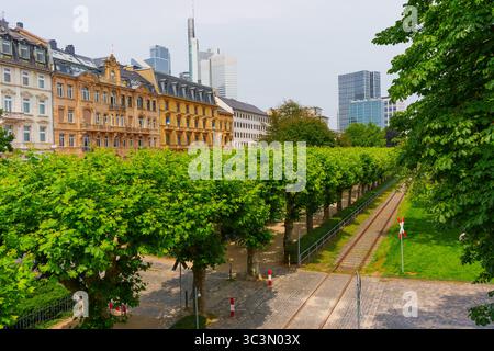Francfort, Allemagne - 10 juin 2025 : arbres luxuriants bordant un sentier le long de bâtiments historiques et modernes à Francfort. Banque D'Images