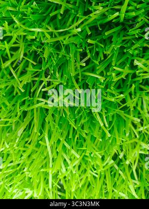 Le vert éclatant de l'herbe artificielle Banque D'Images