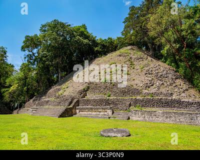 Ruines mayas sur la Plaza A, site archéologique de Caracol, district de Cayo, Belize Banque D'Images