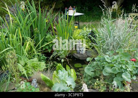 Le jardin animé dispose d'un petit étang entouré de diverses plantes, avec une table préparée pour une réunion en plein air au printemps. Banque D'Images