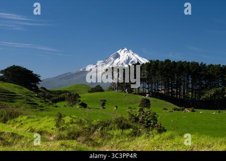 Vue panoramique sur les champs et les arbres et le mont Taranaki sur l'île du Nord de la Nouvelle-Zélande Banque D'Images
