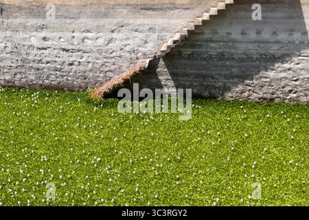 Arrière-plan avec un vieux mur sale et des escaliers le long de celui-ci en diagonale, l'eau complètement recouverte de plantes de jacinthe d'eau Banque D'Images