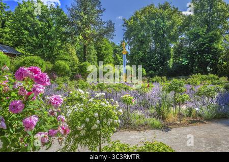 Rosarium avec fleurs de roses et de lavande sur l'île Rose dans le lac Starnberg, Feldafing, haute-Bavière, Bavière, Allemagne Banque D'Images