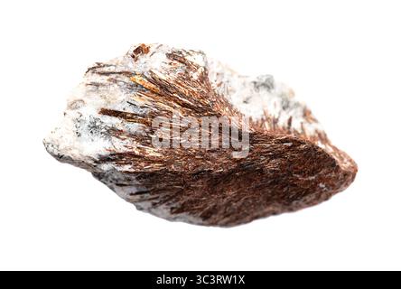 Astrophyllite, agrégats stellaires. Minéral rare de silicate de potassium, fer et titane hydraté, marron à doré, avec cristaux pales ou aciculaires. Banque D'Images