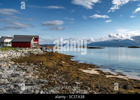 Red Hut Cottage sur l'île Sommaroy à Calm Fjord en Norvège Banque D'Images