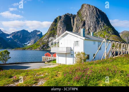 Maison de type traditionnel dans le village Hamnoy sur l'île de Moskenesoy en été, îles Lofoten, Norvège Banque D'Images