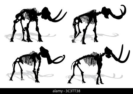 Silhouettes de squelettes anciens d'un mammouth. Illustration de Vecteur