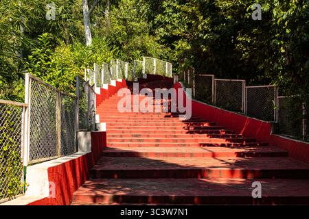 Promenade en forêt avec escaliers d'escalade rouge en plein soleil Banque D'Images