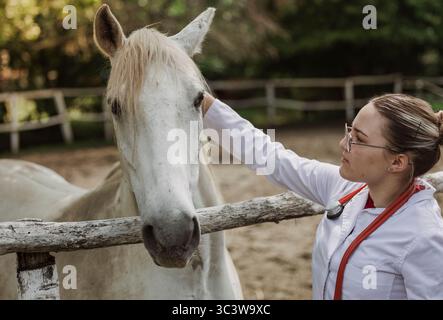 Vétérinaire femelle caressant un cheval calme sur une clôture en bois. Concept de bilan médical Banque D'Images