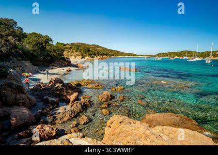 Plage de sable de rêve sur Corse, France Banque D'Images