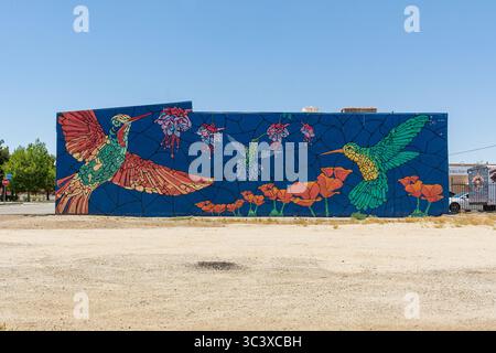 La fresque murale de Christopher Minsal de 2022 à Palmdale, en Californie, a été créée dans le cadre du projet biannuel Antelope Valley Walls du MOAH. Banque D'Images
