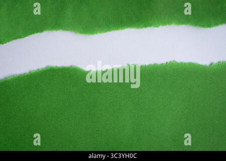 Papier vert déchiré en deux laissant un espace au centre, sur fond blanc. Copier l'espace. Banque D'Images