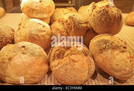 Pains assortis fraîchement cuits dans la boulangerie Banque D'Images