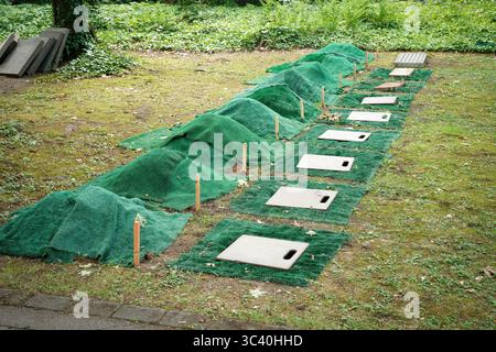 Une rangée de graves d'urne préparées avec des tapis d'herbe sur l'excavation et le site de la tombe, recouverte de dalles de bois avec poignées encastrées Banque D'Images