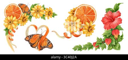 Ensemble de conception de coin d'été de papillon et fleur d'hibiscus. Illustration de tranche de fruit dessinée à l'aquarelle à la main pour la décoration de thème de vacances tropicales. Lumineux Banque D'Images