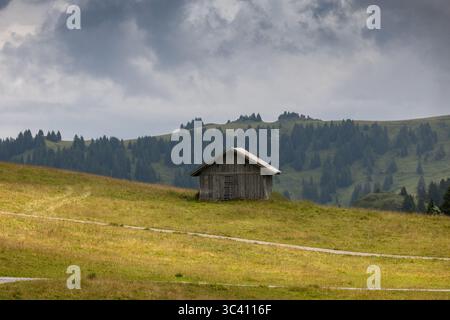 Une cabane solitaire en bois altérée repose sur une colline verdoyante, encadrée par les pentes boisées et vallonnées des Alpes suisses. La scène évoque un sentiment de tr Banque D'Images