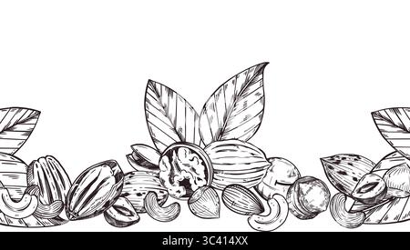 Bordure de vecteur sans couture de noix, noyer, cajou, noix de cajou, noix de pécan, noisette, macadamia, feuilles d'arbre. Tous les objets sont dessinés à la main avec de l'encre. Pour l'impression sur des aliments Illustration de Vecteur