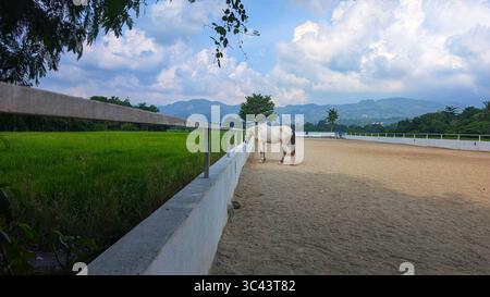 Une scène de photographie de coucher de soleil époustouflante se déroule à Batu Caves Malaysia, où un ciel d'une heure d'or rencontre les lumières de la tour urbaine et l'éclairage nocturne de la route. De Banque D'Images