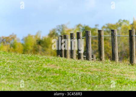 Clôture en bois sur Grassy Hill avec des arbres Soft Focus en arrière-plan Banque D'Images