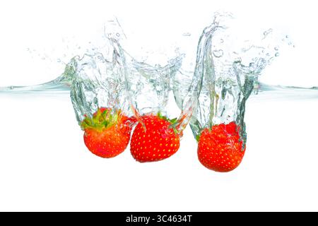 Trois fraises mûres éclaboussant dans l'eau claire, créant des bulles et des ondulations dynamiques, avec un fond blanc propre soulignant leur rouge vif Banque D'Images
