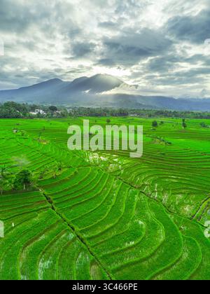 Belle vue du matin indonésie panorama paysage rizières avec des couleurs de beauté et ciel lumière naturelle Banque D'Images