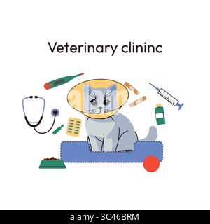 Illustration d'une clinique vétérinaire représentant un chat gris portant un cône protecteur, assis dans un lit d'animal domestique. Autour de lui se trouvent des outils médicaux comme un Illustration de Vecteur
