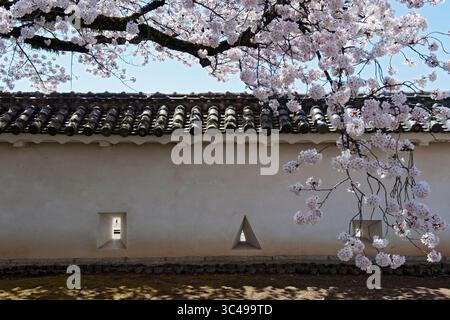 Carrée et triangulaire 'teppo-zama' (ports d'armes à feu) dans le mur de terre de la forteresse japonaise du château de Himeji pendant la saison de la floraison des cerisiers, Himeji, Japon. Banque D'Images