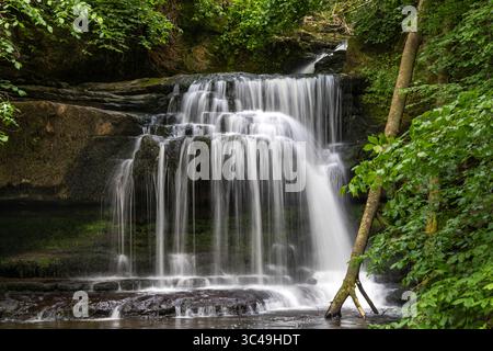 Cauldron Falls, également connu sous le nom de West Burton Falls, est une série de cascades situées sur Walden Beck dans le village de West Burton, dans le Yorkshire du Nord, en Angleterre. Yor Banque D'Images