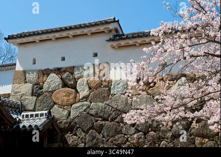 Détail du mur du château 'teppo-zama' (ports d'armes à feu) au site du patrimoine mondial de l'UNESCO Château de Himeji (姫路城) pendant la saison des cerisiers en fleurs, Himeji, Hyogo, Japon. Banque D'Images