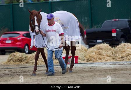 10 juillet 2018 - San Diego, CA, USA - SAN DIEGO, CA.-16 juillet 2018,- Walker Polo Silva Luna a marché Triple Crown pécheur ''Justify'' dans les granges de l'entraîneur Bob Baffert à Del Mar. PHOTO/JOHN GIBBINS photographe, San Diego Union-Tribune. â©2018 (crédit image : © John Gibbins/San Diego Union-Tribune via ZUMA Wire) Banque D'Images