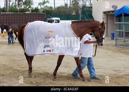 10 juillet 2018 - San Diego, CA, USA - SAN DIEGO, CA.-16 juillet 2018,- Walker Polo Silva Luna a marché Triple Crown pécheur ''Justify'' dans les granges de l'entraîneur Bob Baffert à Del Mar. PHOTO/JOHN GIBBINS photographe, San Diego Union-Tribune. â©2018 (crédit image : © John Gibbins/San Diego Union-Tribune via ZUMA Wire) Banque D'Images