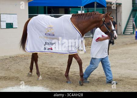 10 juillet 2018 - San Diego, CA, USA - SAN DIEGO, CA.-16 juillet 2018,- Walker Polo Silva Luna a marché Triple Crown pécheur ''Justify'' dans les granges de l'entraîneur Bob Baffert à Del Mar. PHOTO/JOHN GIBBINS photographe, San Diego Union-Tribune. â©2018 (crédit image : © John Gibbins/San Diego Union-Tribune via ZUMA Wire) Banque D'Images