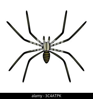 Illustration vectorielle détaillée d'une araignée stylisée avec huit longues pattes et un corps segmenté, rendue dans des tons olive foncé et noir sur un BA blanc Illustration de Vecteur