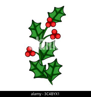 Illustration vectorielle festive d'une branche de houx stylisée avec des feuilles vertes vibrantes et des grappes de baies rouges brillantes, parfaites pour les conceptions de Noël. Illustration de Vecteur