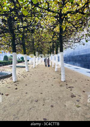Sentier piétonnier bordé d'arbres avec troncs peints en blanc et feuillage d'automne dans le quartier européen de Bruxelles, Belgique. Banque D'Images