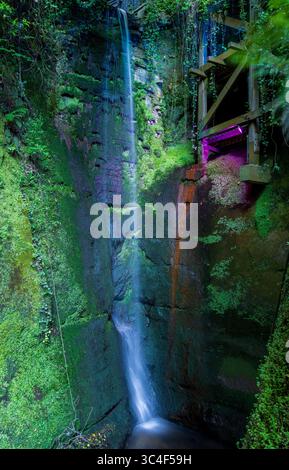 La cascade éclairée est la plus haute de l'île de Wight à Shanklin Cline, une attraction touristique dans une gorge boisée Banque D'Images