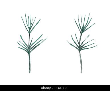 Deux petites brindilles de pin vert avec de longues aiguilles. Illustration aquarelle. Clip isolé pour aquarelle dessiné à la main Banque D'Images