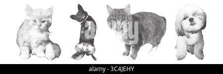 Collection de chats et de chiens demi-teintes. Effet photocopie Illustration de Vecteur